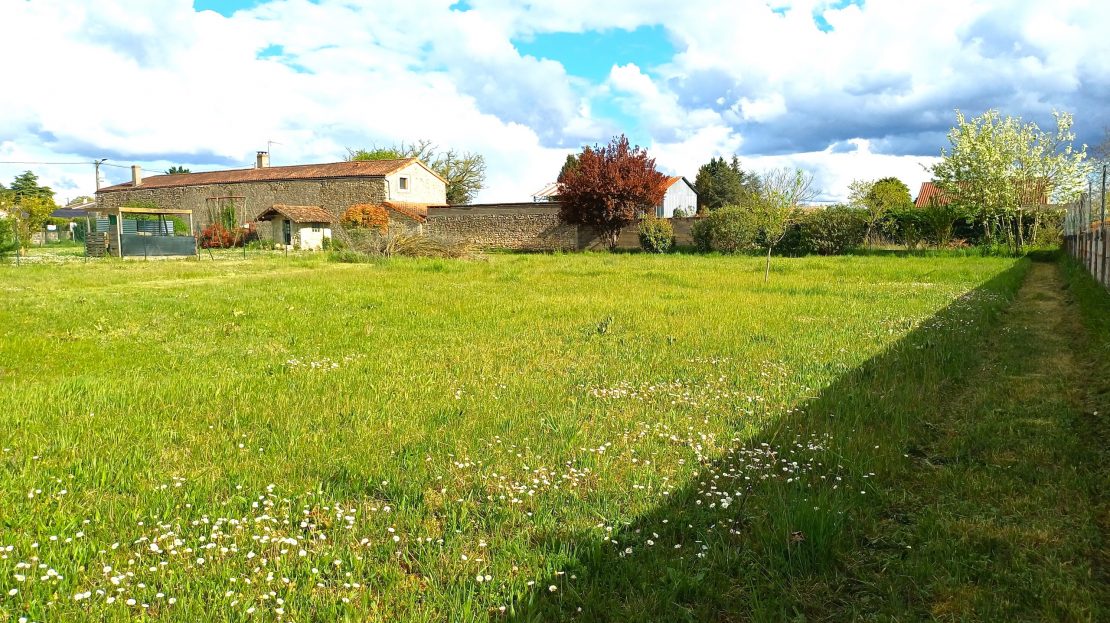 beau terrain de 1 300 m2 entre chauvigny et bonnes · 25 900 €